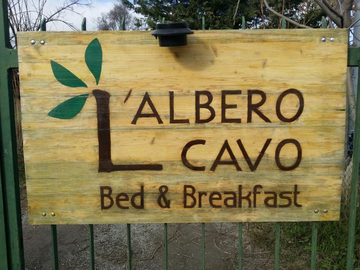 R&B Albero Cavo Parma Panzió Kültér fotó