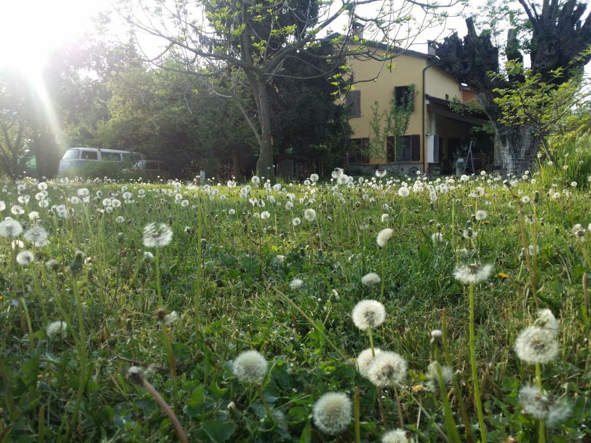R&B Albero Cavo Parma Panzió Kültér fotó