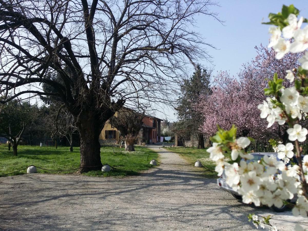 R&B Albero Cavo Parma Panzió Kültér fotó